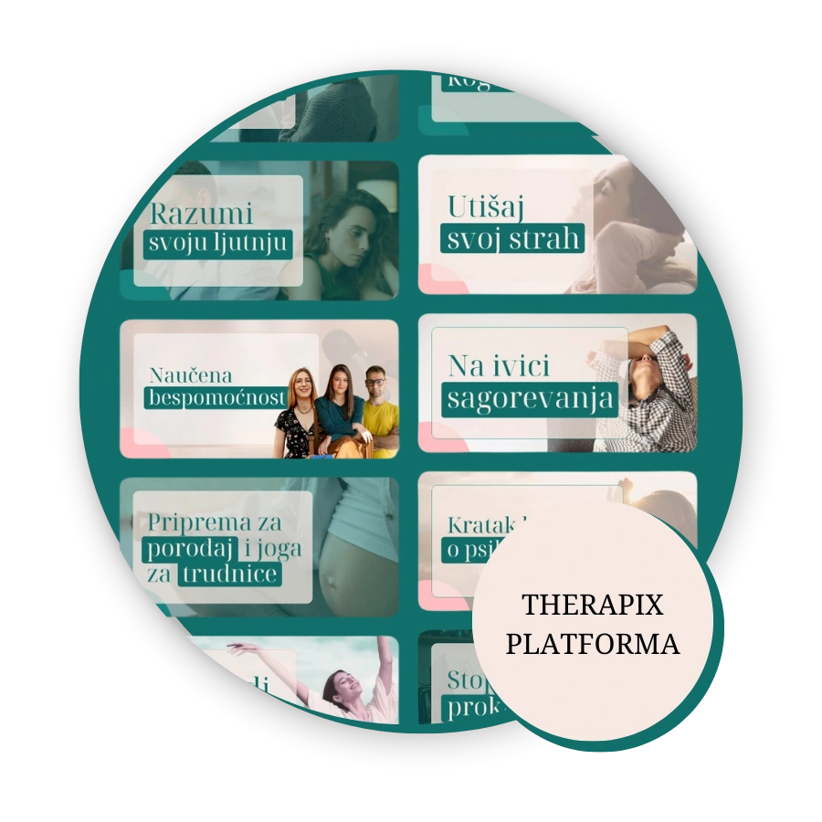 THERAPIX PLATFORMA 02 (1)